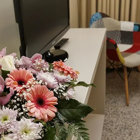 Centre Apartment